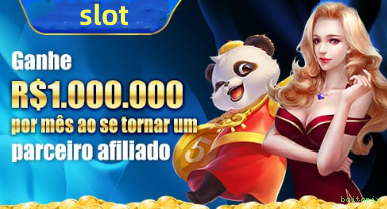 Guias de instalação da baitapix